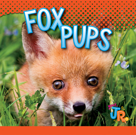 Baby Animals: Fox Pups