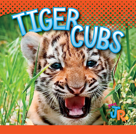 Baby Animals: Tiger Cubs