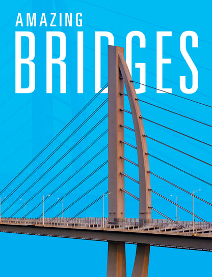 Design Marvels: Amazing Bridges