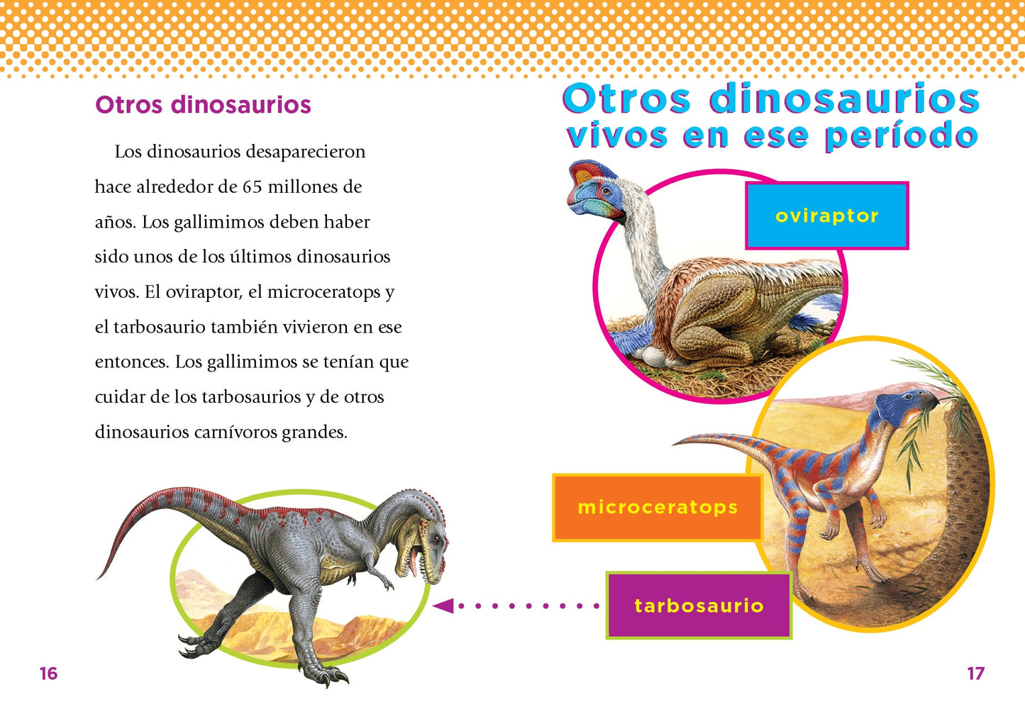 Descubrimiento de dinosaurios: El gallimimo