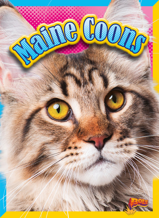 Cat Stats: Maine Coons