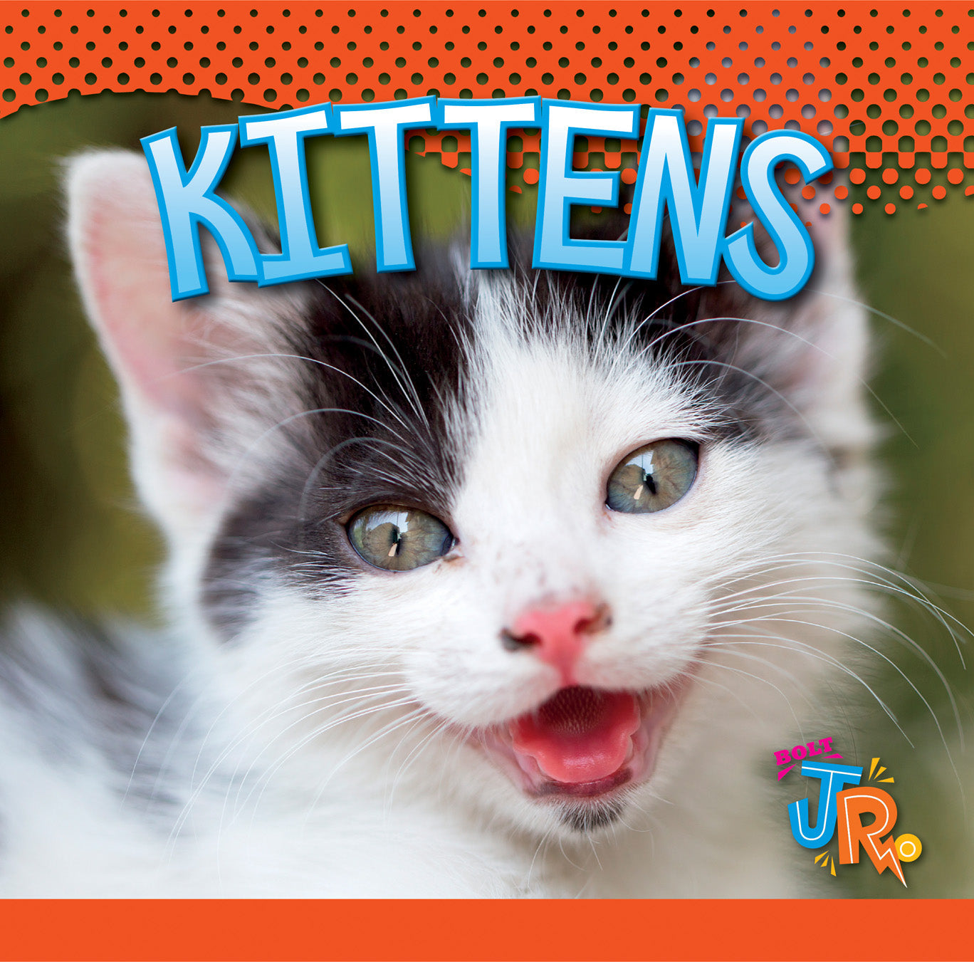 Baby Animals: Kittens