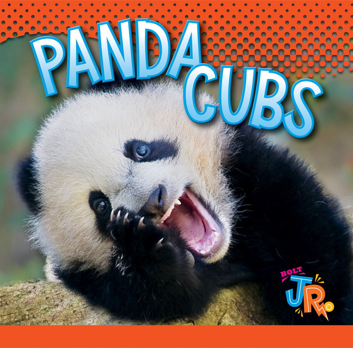 Baby Animals: Panda Cubs