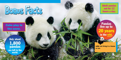 Baby Animals: Panda Cubs