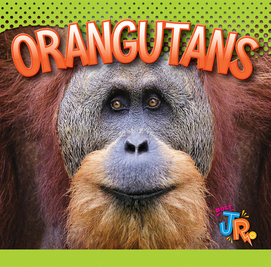 Awesome Animal Lives: Orangutans