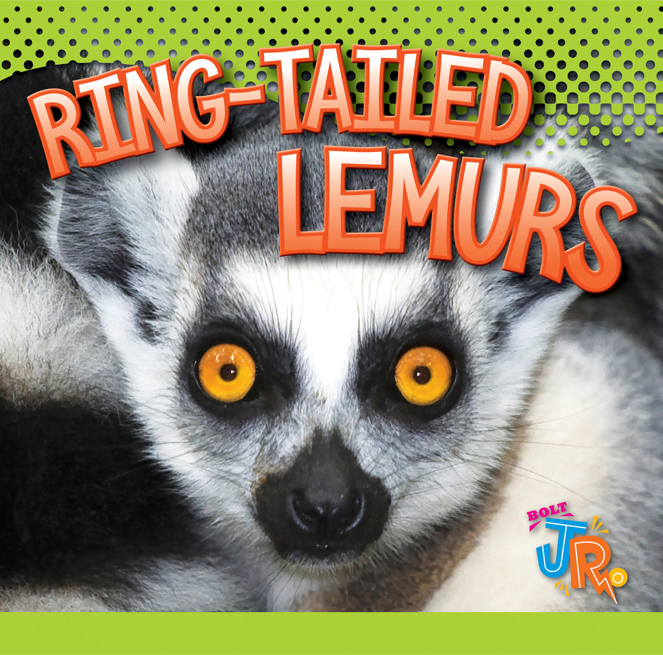 Awesome Animal Lives: RingTailed Lemurs