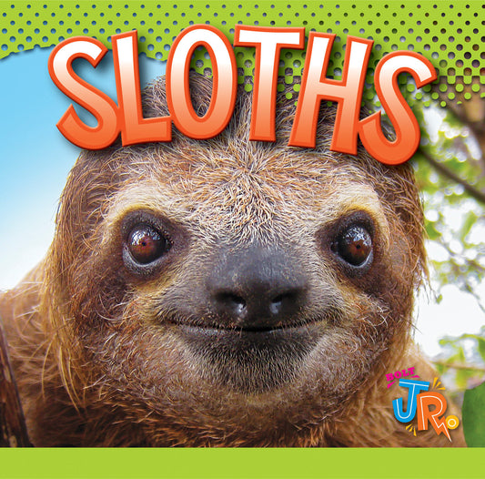 Awesome Animal Lives: Sloths
