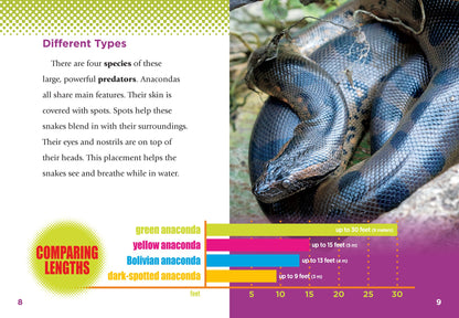Slithering Snakes: Anacondas
