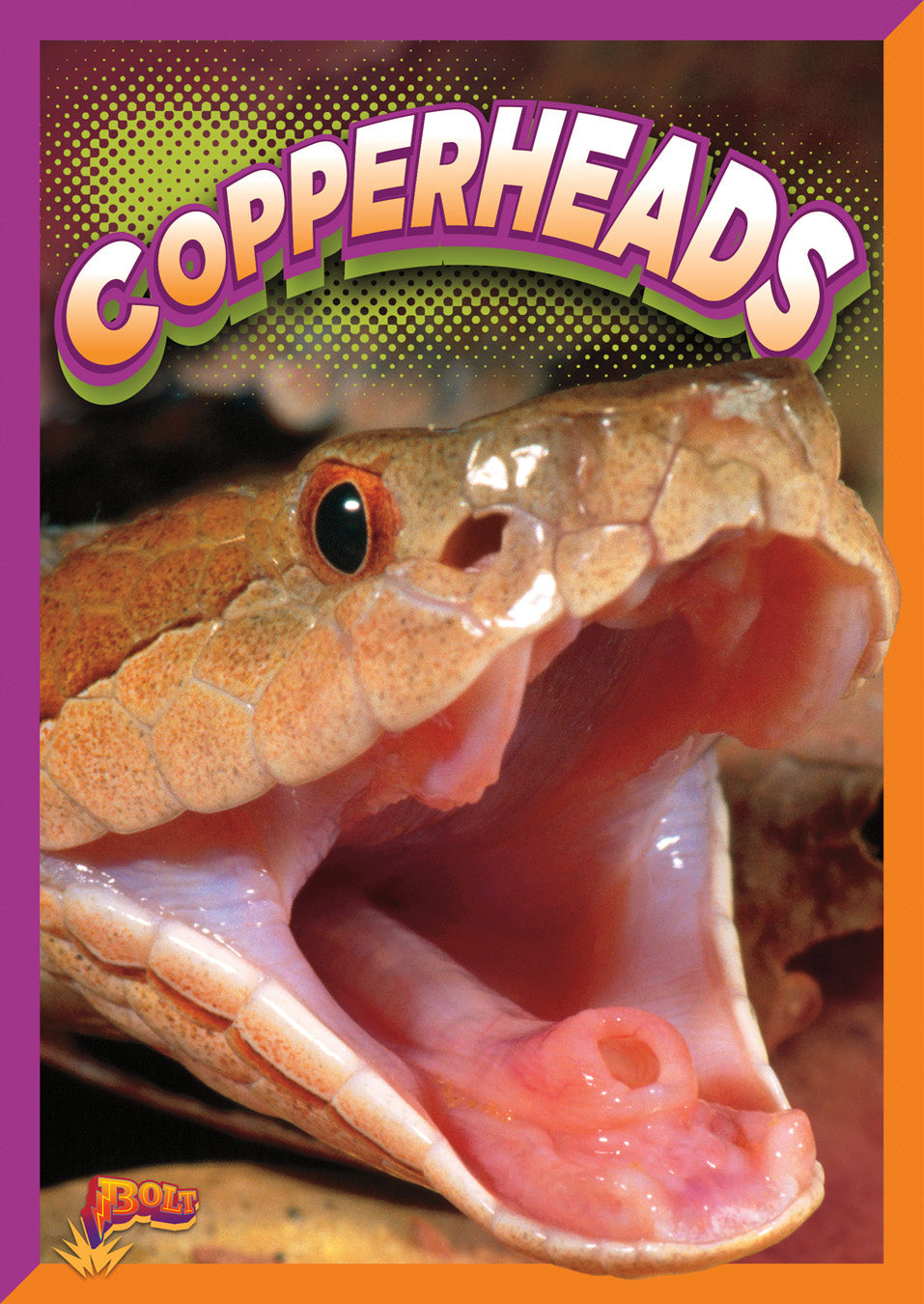 Slithering Snakes: Copperheads