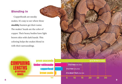 Slithering Snakes: Copperheads