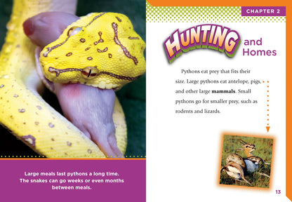 Slithering Snakes: Pythons