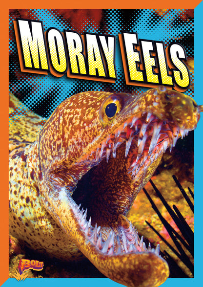 Super Sea Creatures: Moray Eels