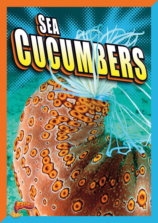 Super Sea Creatures: Sea Cucumbers