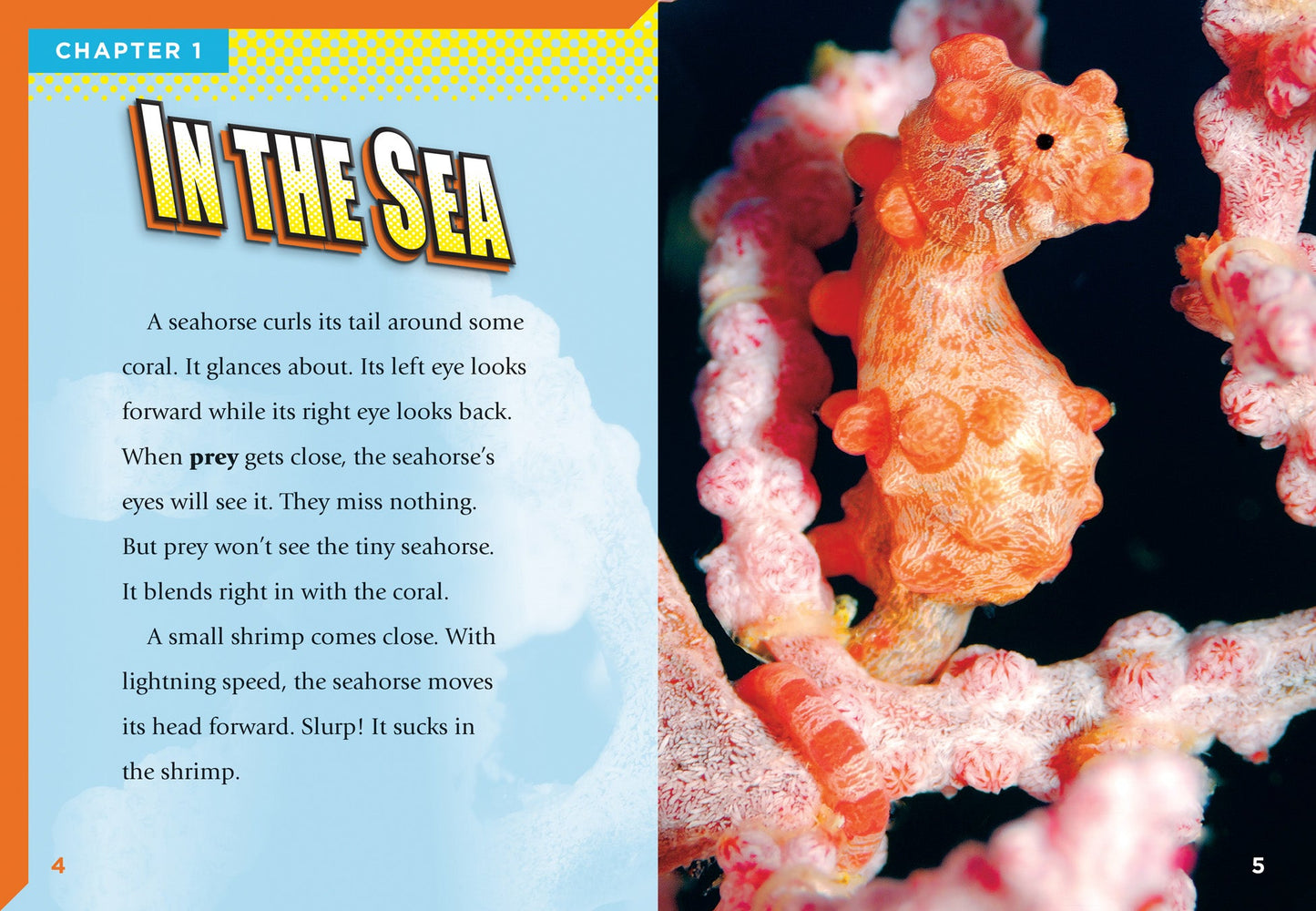 Super Sea Creatures: Seahorses
