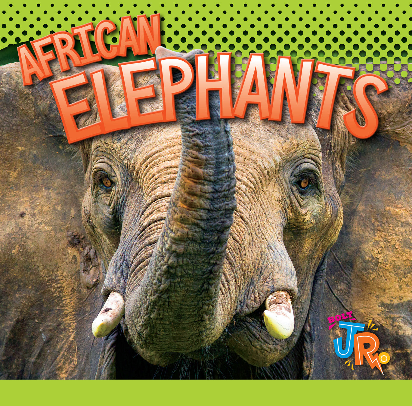 Awesome Animal Lives: African Elephants