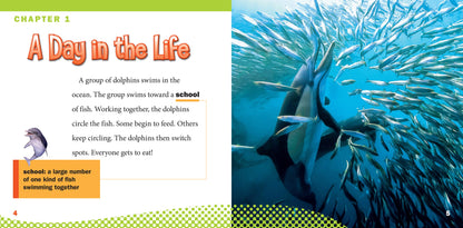 Awesome Animal Lives: Dolphins
