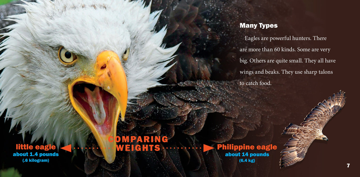 Awesome Animal Lives: Eagles