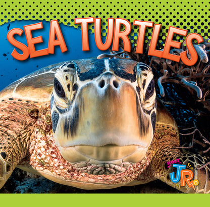 Awesome Animal Lives: Sea Turtles