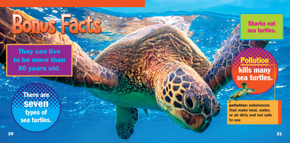 Awesome Animal Lives: Sea Turtles