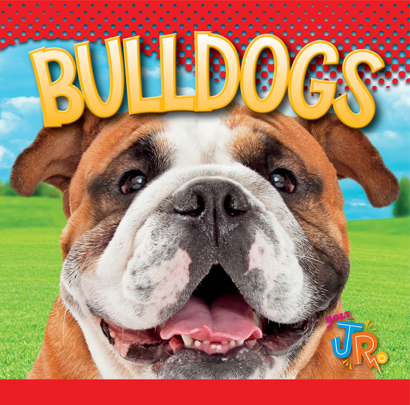 Our Favorite Dogs: Bulldogs