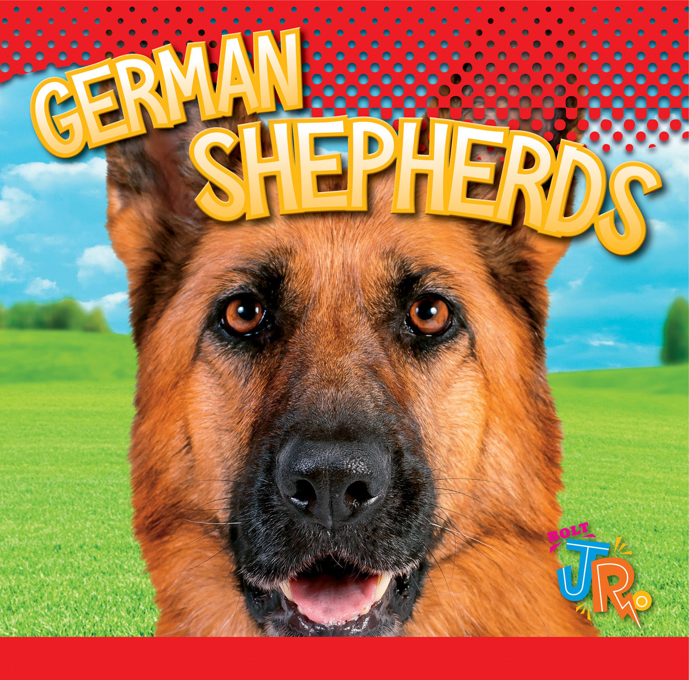 Our Favorite Dogs: German Shepherds