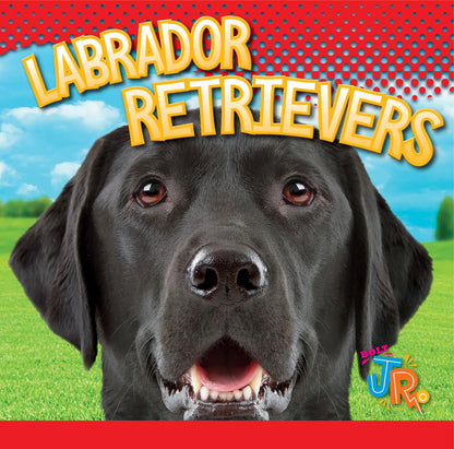 Our Favorite Dogs: Labrador Retrievers