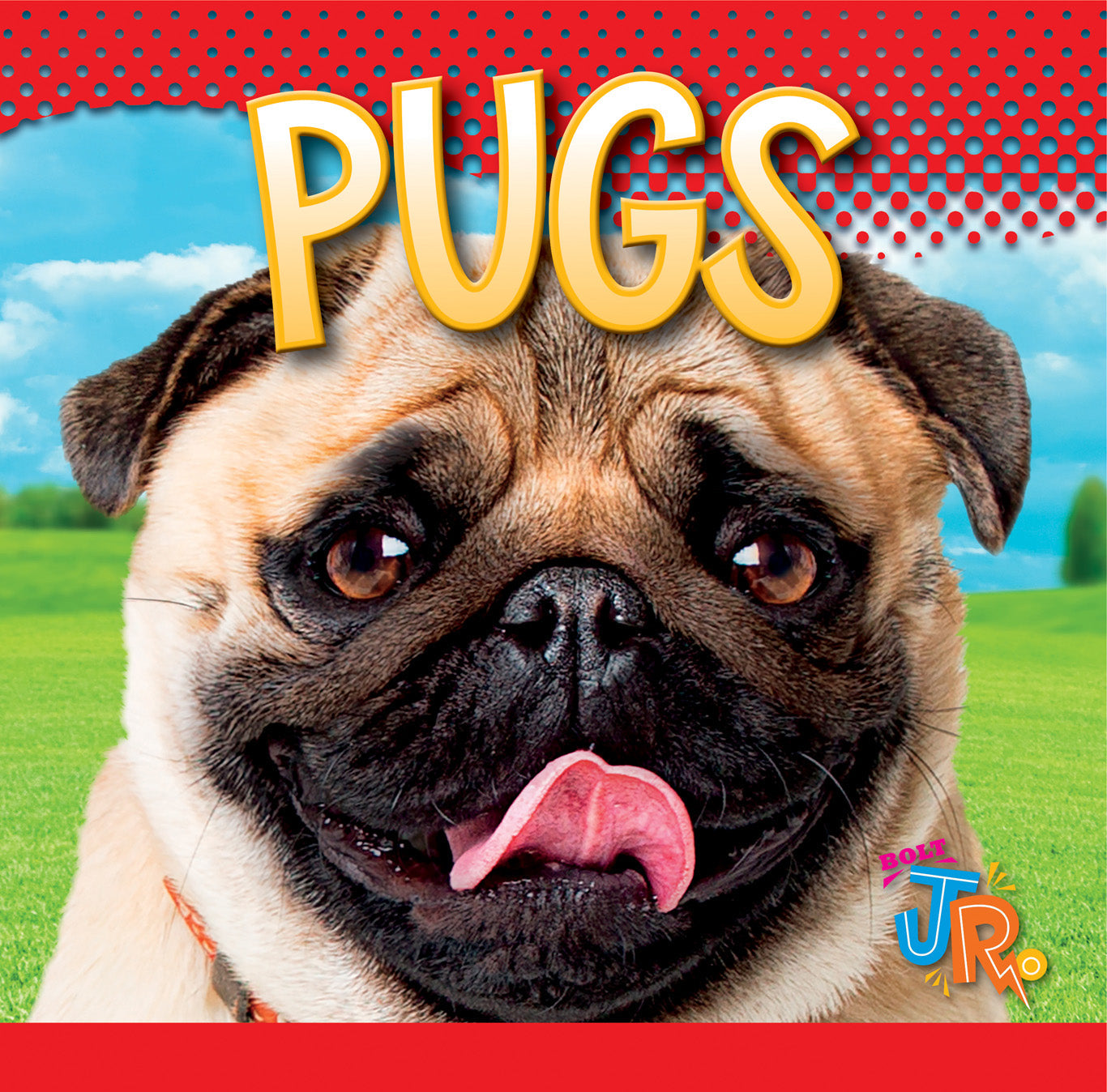 Our Favorite Dogs: Pugs