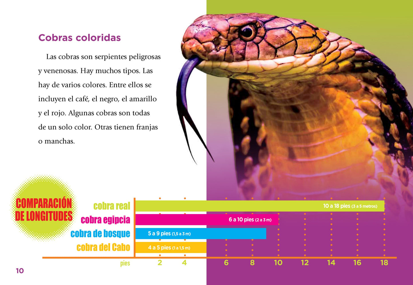 Serpientes escurridizas: Cobras