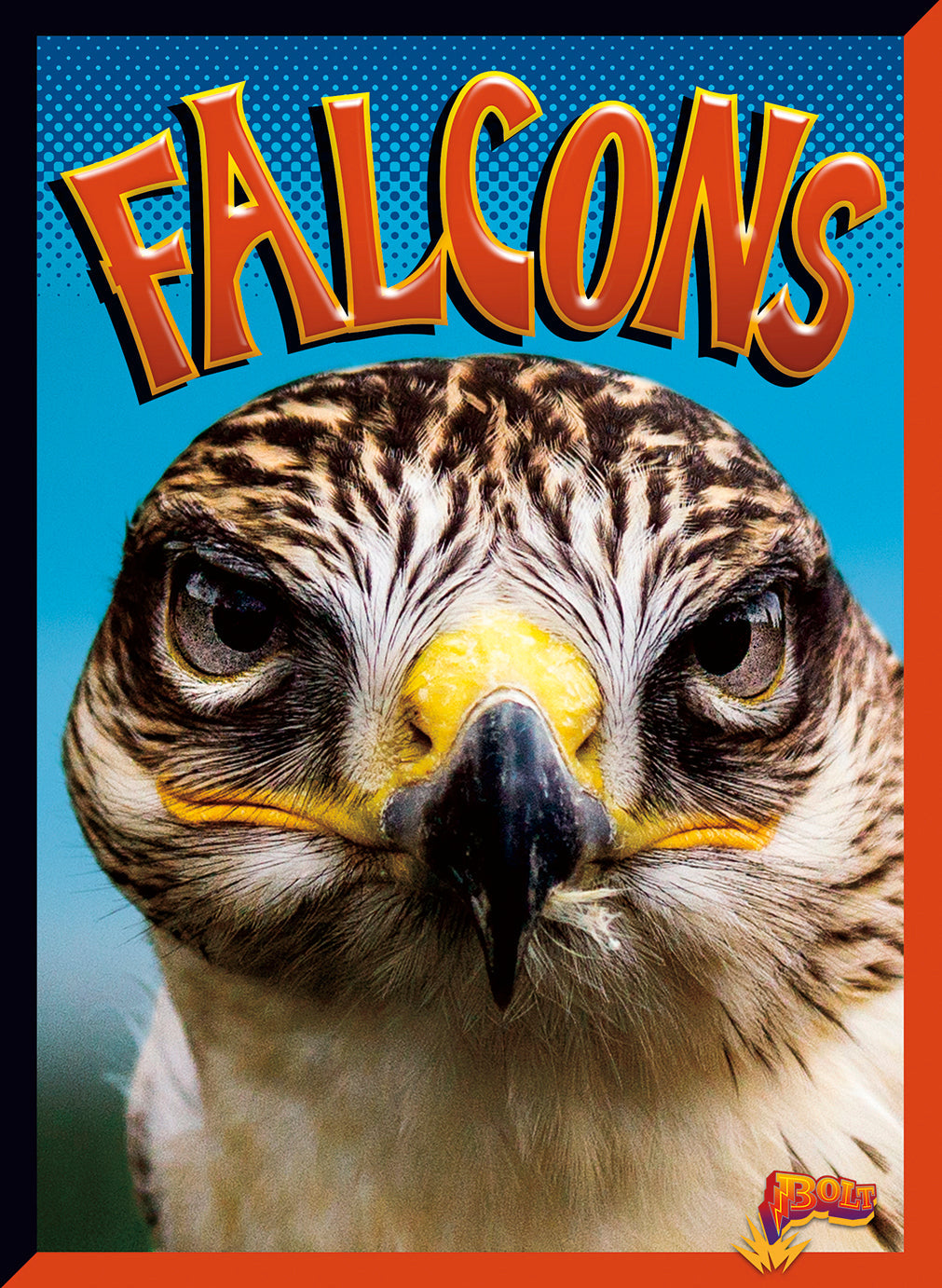 Birds of Prey: Falcons