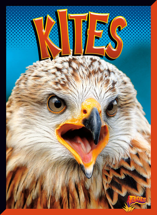 Birds of Prey: Kites