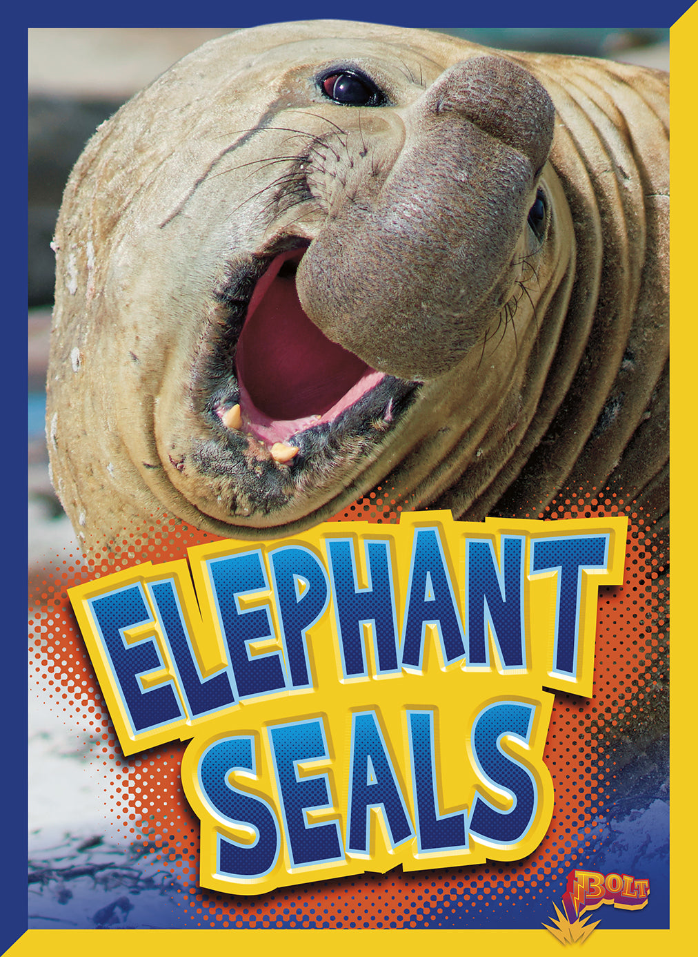 Curious Creatures: Elephant Seals