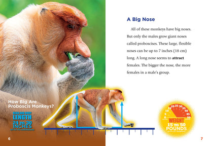 Curious Creatures: Proboscis Monkeys