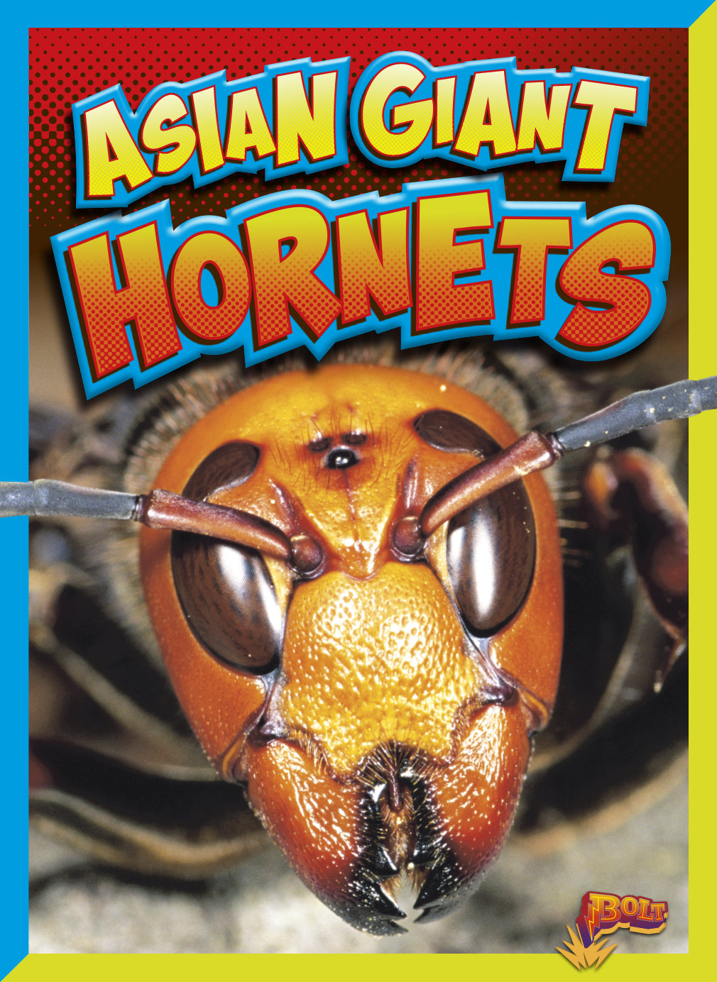Dangerous Bugs: Asian Giant Hornets