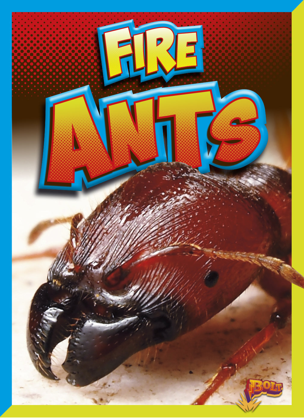 Dangerous Bugs: Fire Ants