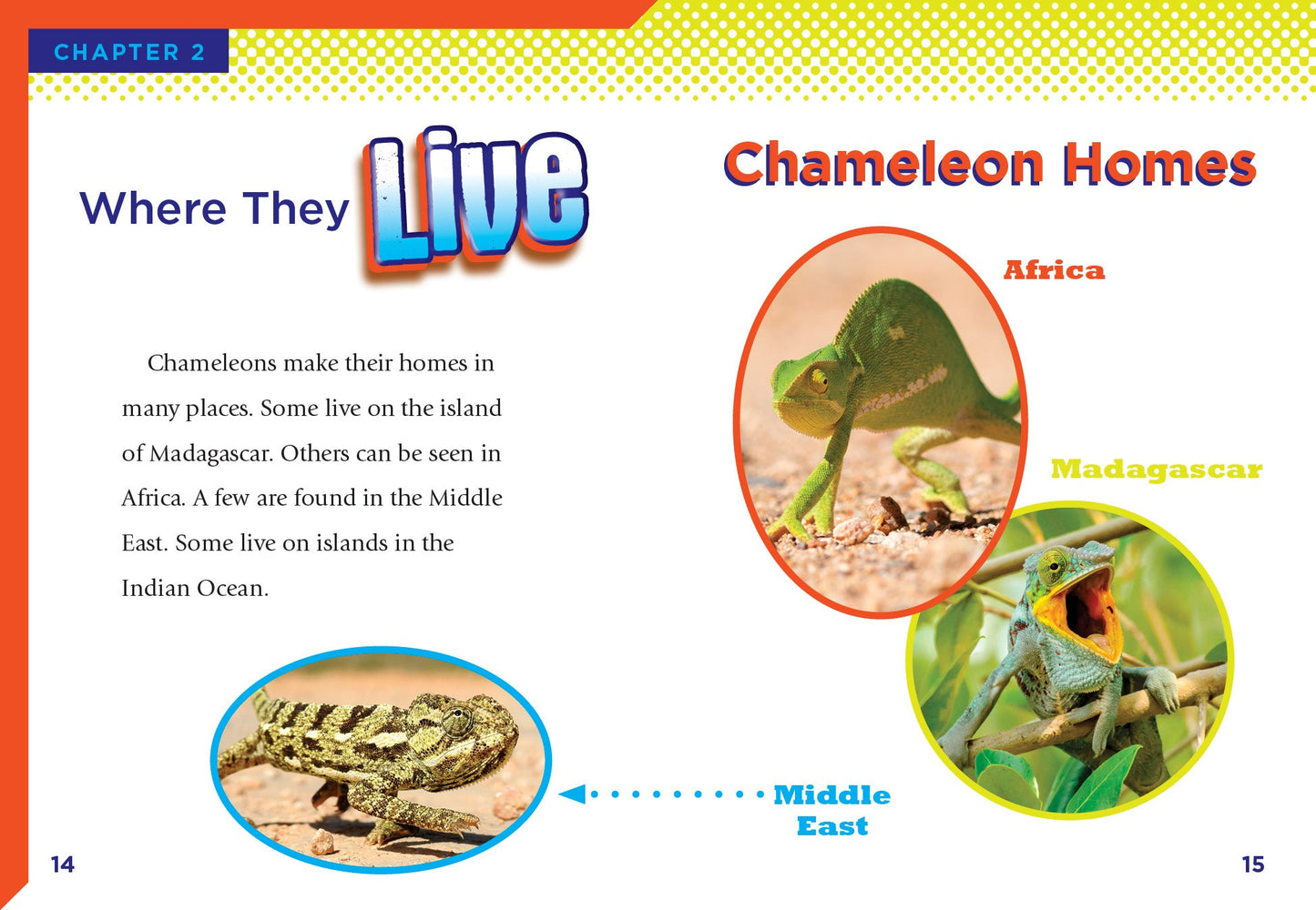 Reptile Adventure: Chameleons