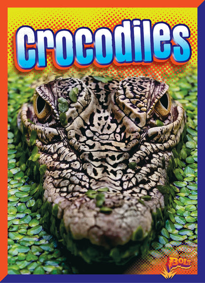 Reptile Adventure: Crocodiles
