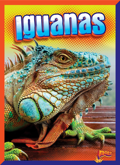 Reptile Adventure: Iguanas