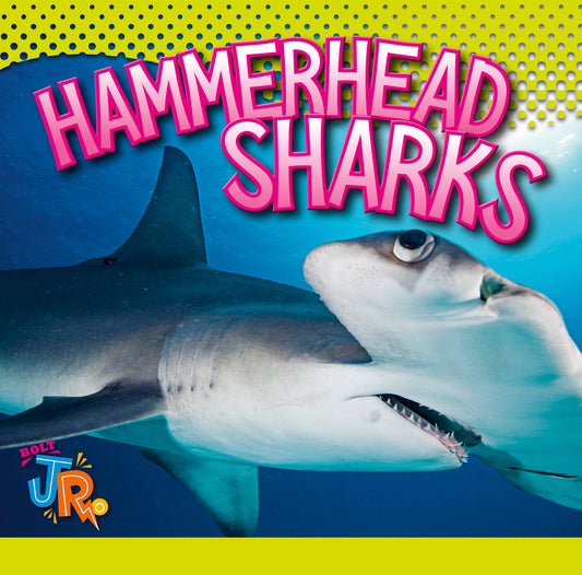 World of Sharks: Hammerhead Sharks