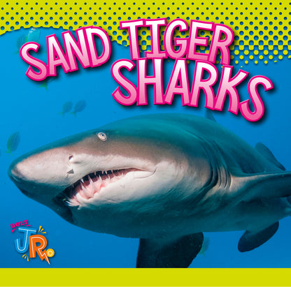 World of Sharks: Sand Tiger Sharks