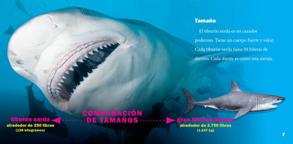 El mundo de tiburones: El tiburón sarda