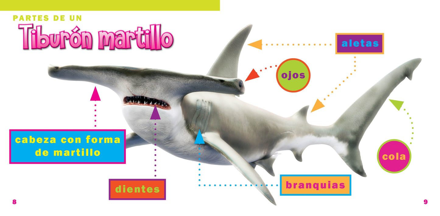 El mundo de tiburones: El tiburón martillo