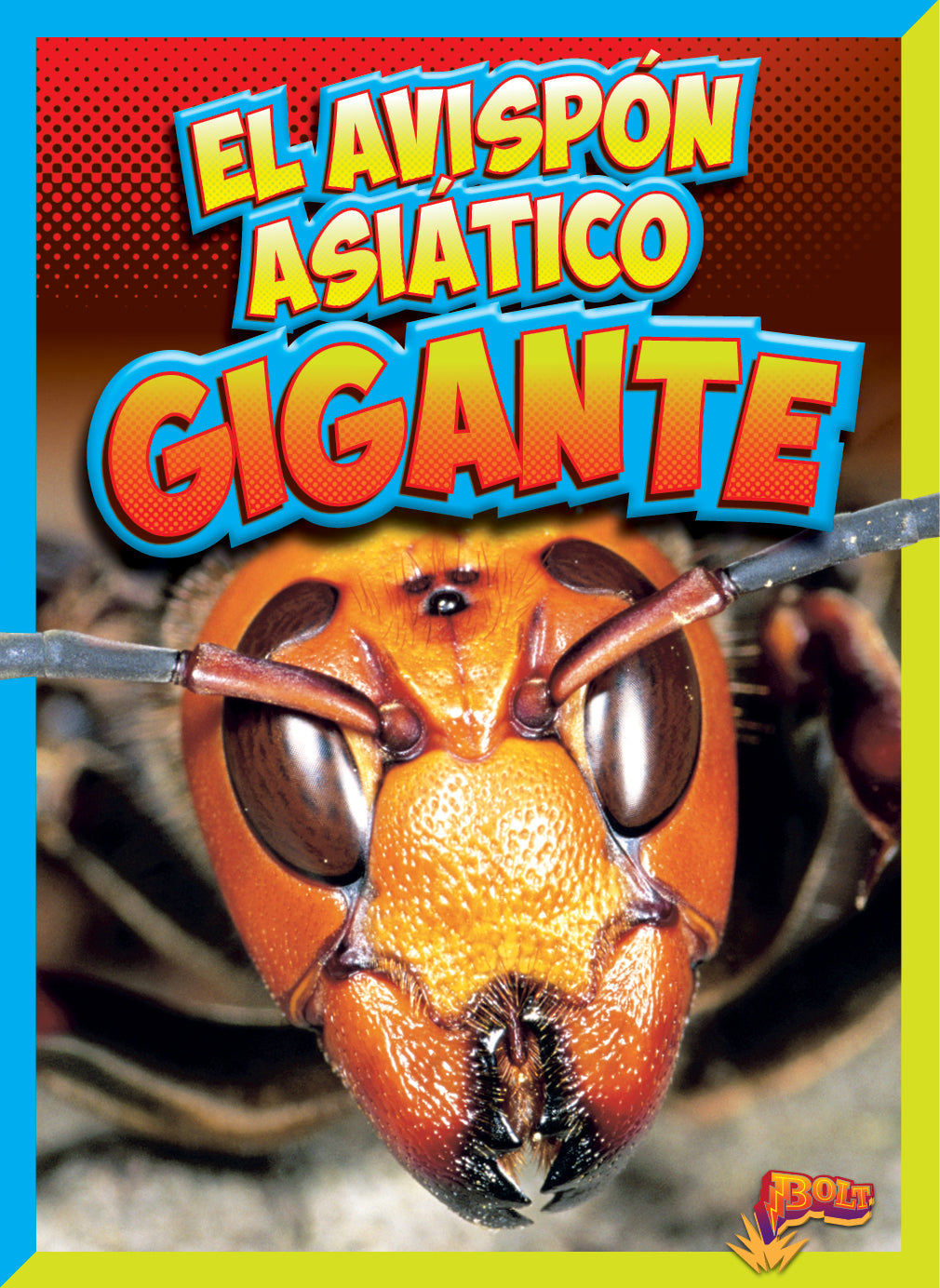 Bichos peligrosos: El avispón asiático gigante