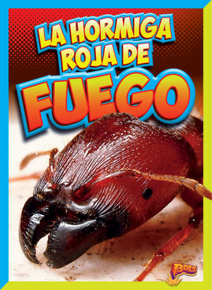 Bichos peligrosos: La hormiga roja de fuego