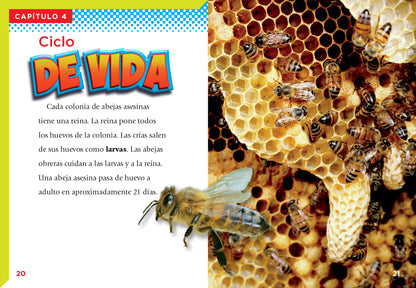 Bichos peligrosos: La abeja asesina