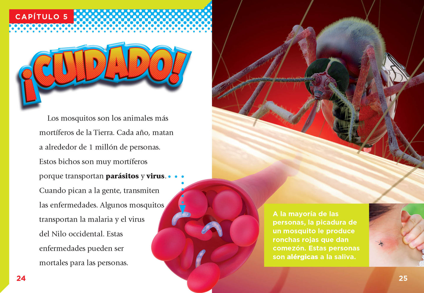 Bichos peligrosos: El mosquito