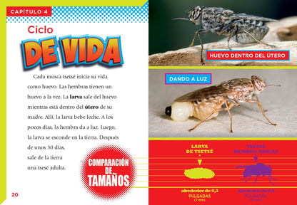Bichos peligrosos: La mosca tsetsé