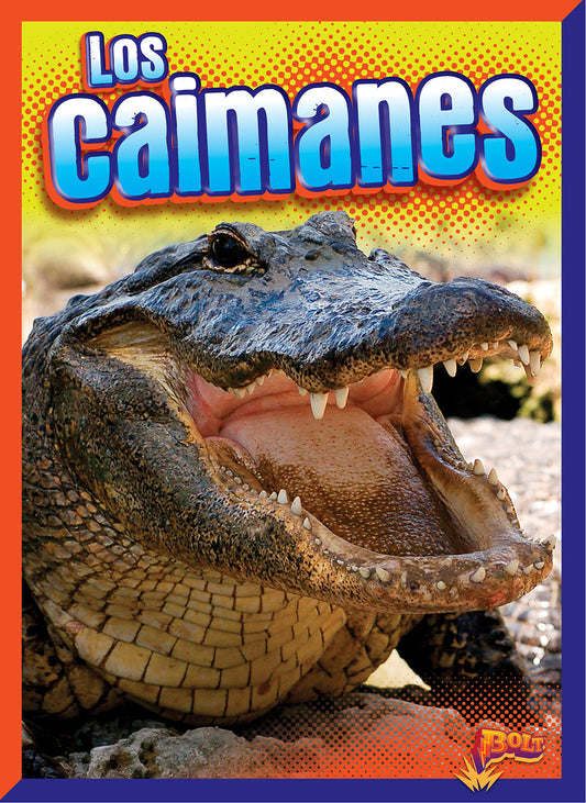 Aventuras reptilianas: Los caimanes