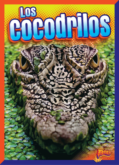 Aventuras reptilianas: Los cocodrilos