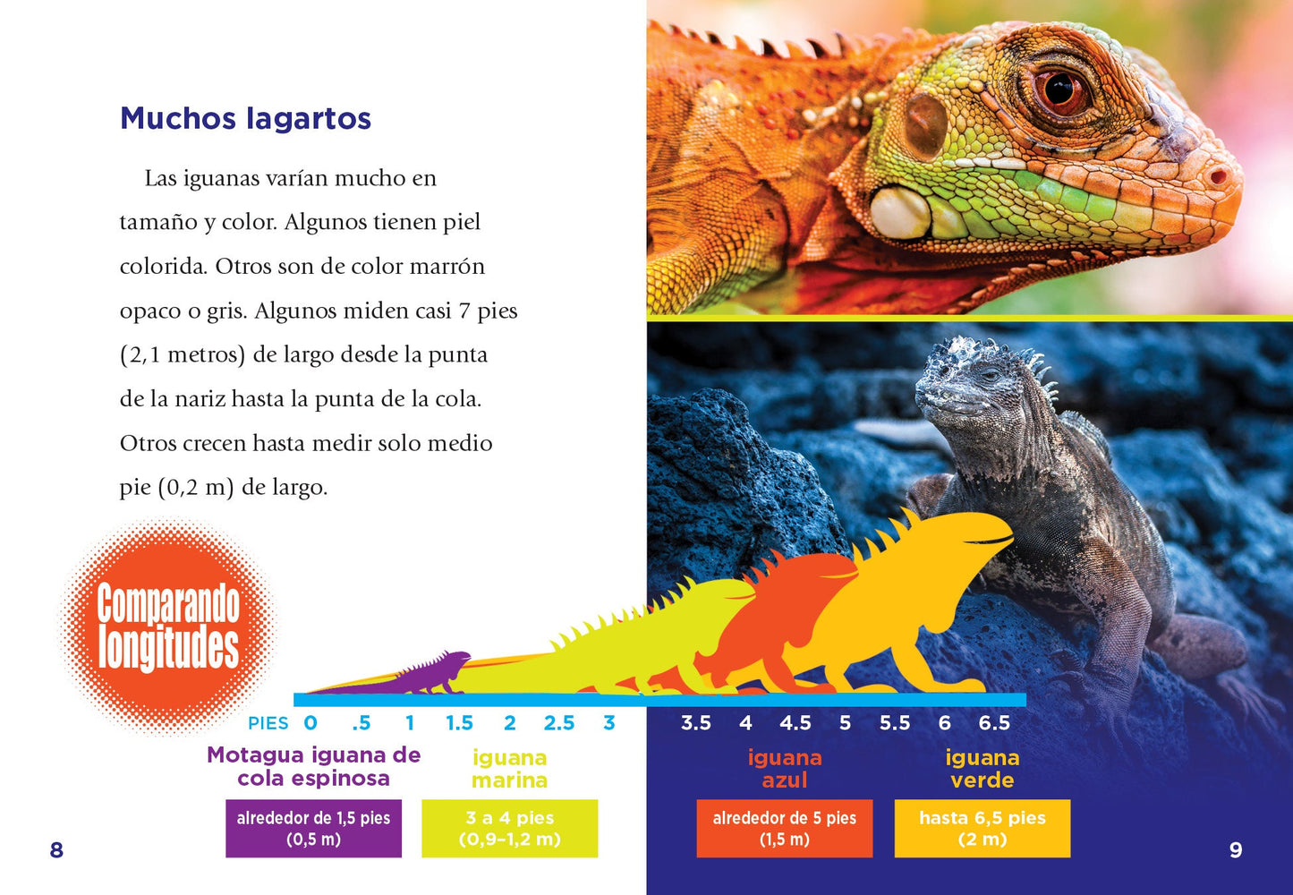 Aventuras reptilianas: Las iguanas