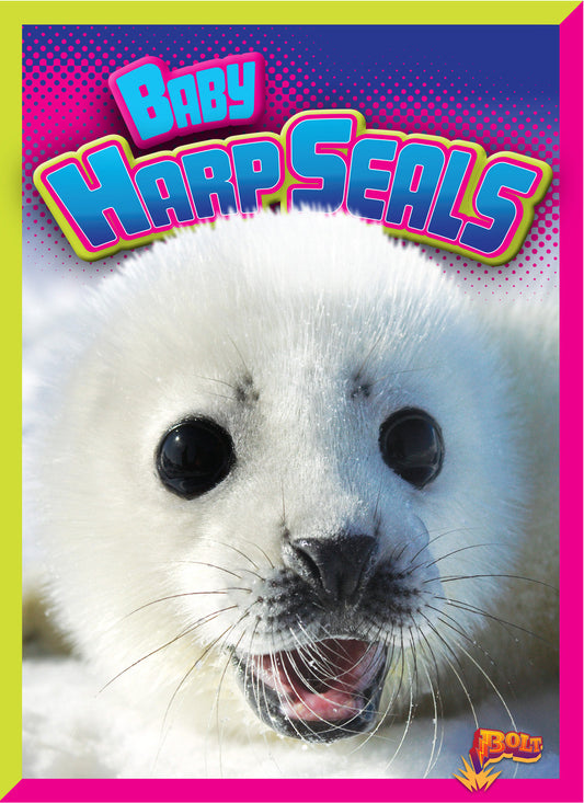 Adorable Animals: Baby Harp Seals